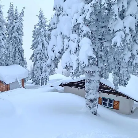 In - Out Am Hauser Kaibling Chalet *