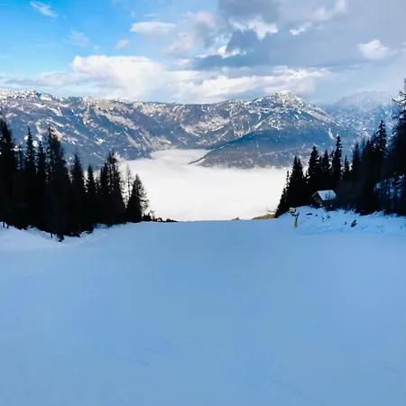 In - Out Am Hauser Kaibling Dağ evi *