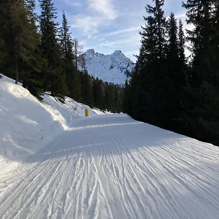 Dağ evi In - Out Am Hauser Kaibling Haus im Ennstal
